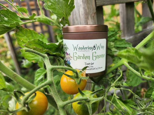 Garden Gnome - 3.5oz Candle Tin